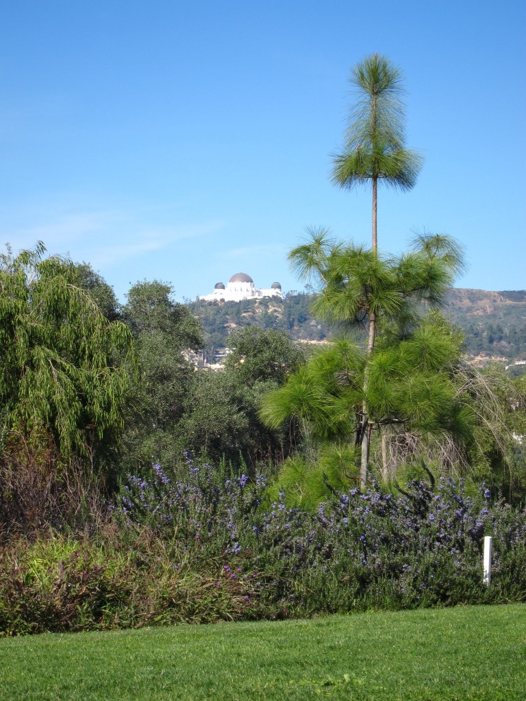 barndall art park in los feliz, los angeles