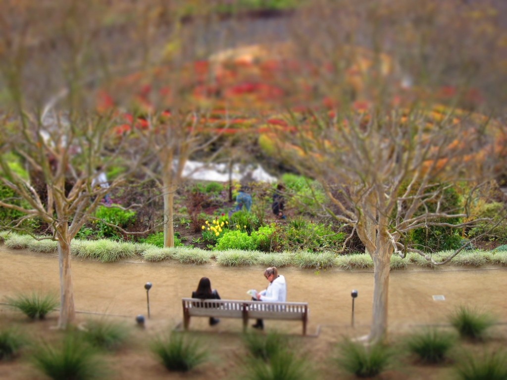 the gardens at the getty center in los angeles