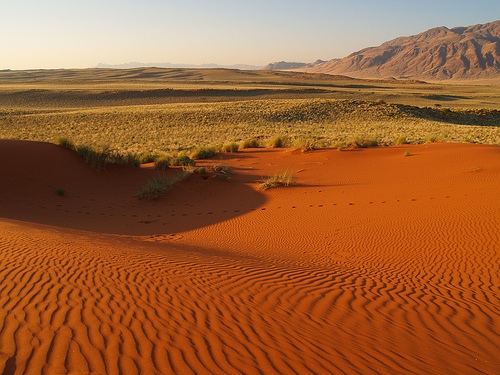 red sand dunes in namibia, as photographed by rui ornelas