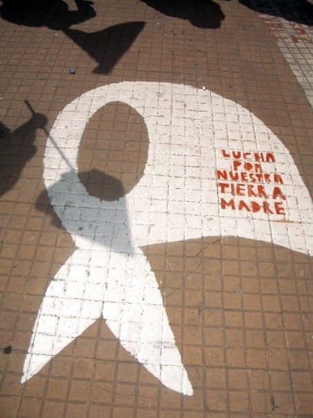 the protest march path of the mothers of plaza de mayo