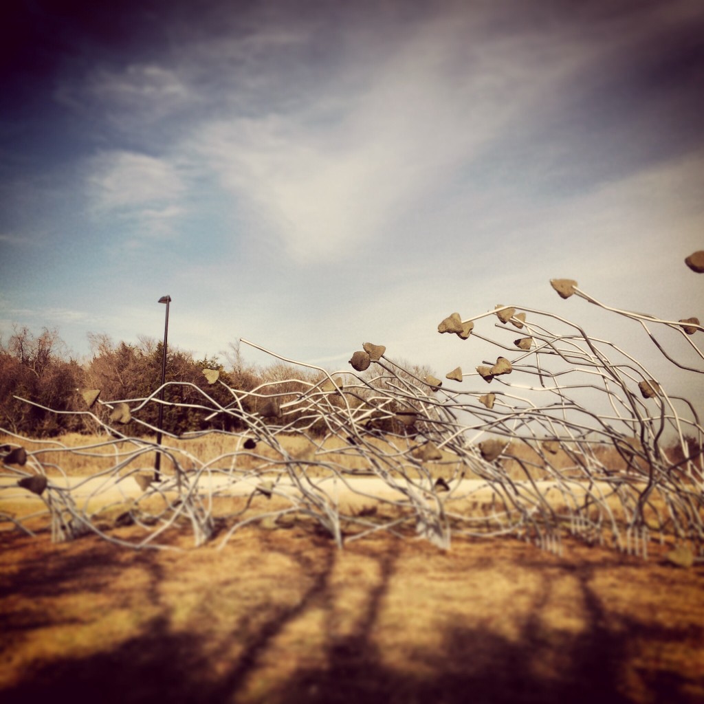 part of the nasher sculpture exhibit, as seen at the dallas audubon center while exploring with family in town.