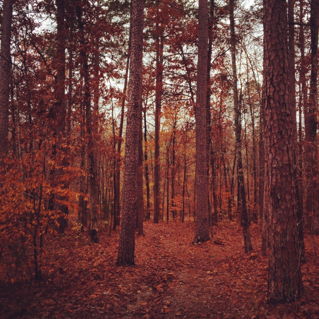 hiking through the woods in hot springs village, arkansas while visiting family.