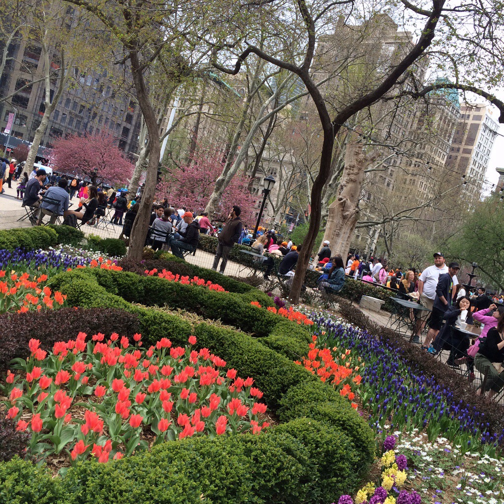 bright and cheery at madison square in new york