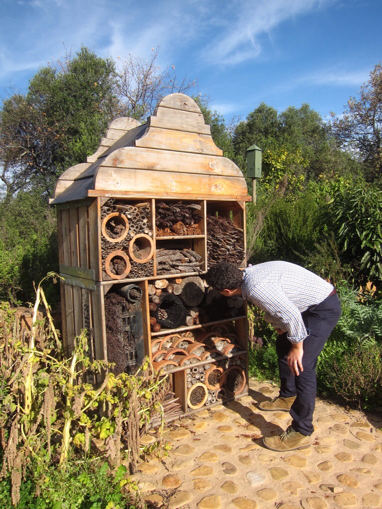 this is where they house insects that help keep away harmful pests. my husband was intrigued, though he didn't spot any current residents.