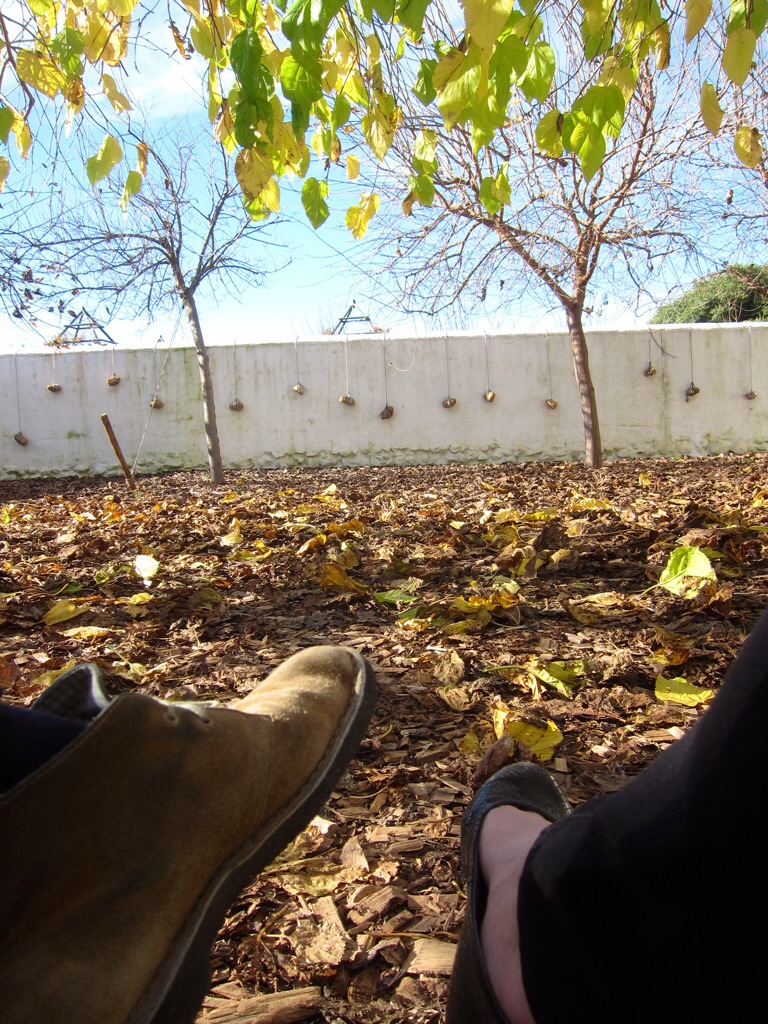 the meditation garden under mulberry trees. i imagine it is quite nice during the summer.