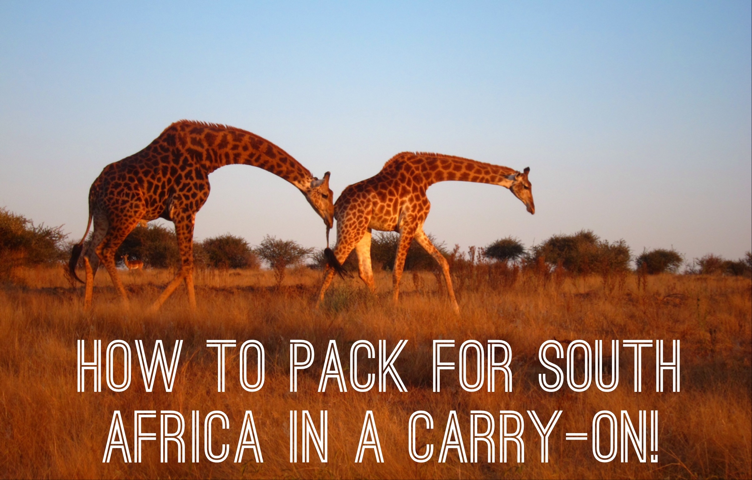 how-to-pack-for-south-africa-safari-carry-on