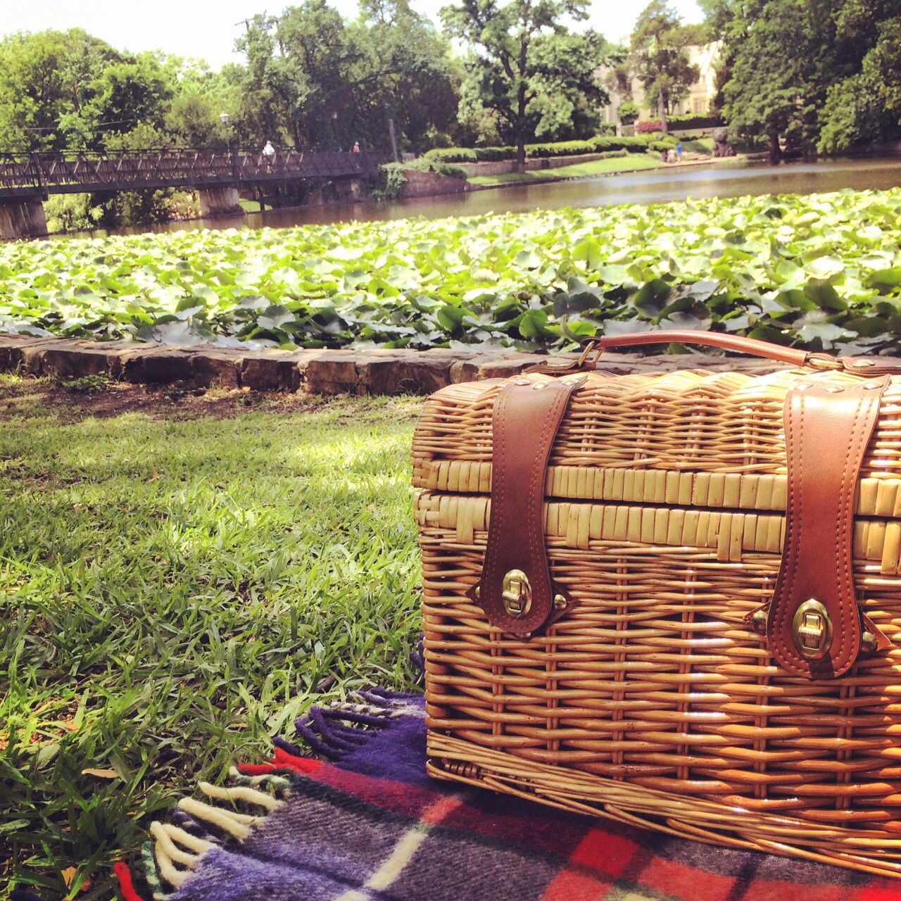 lakeside park with the dallas picnic society