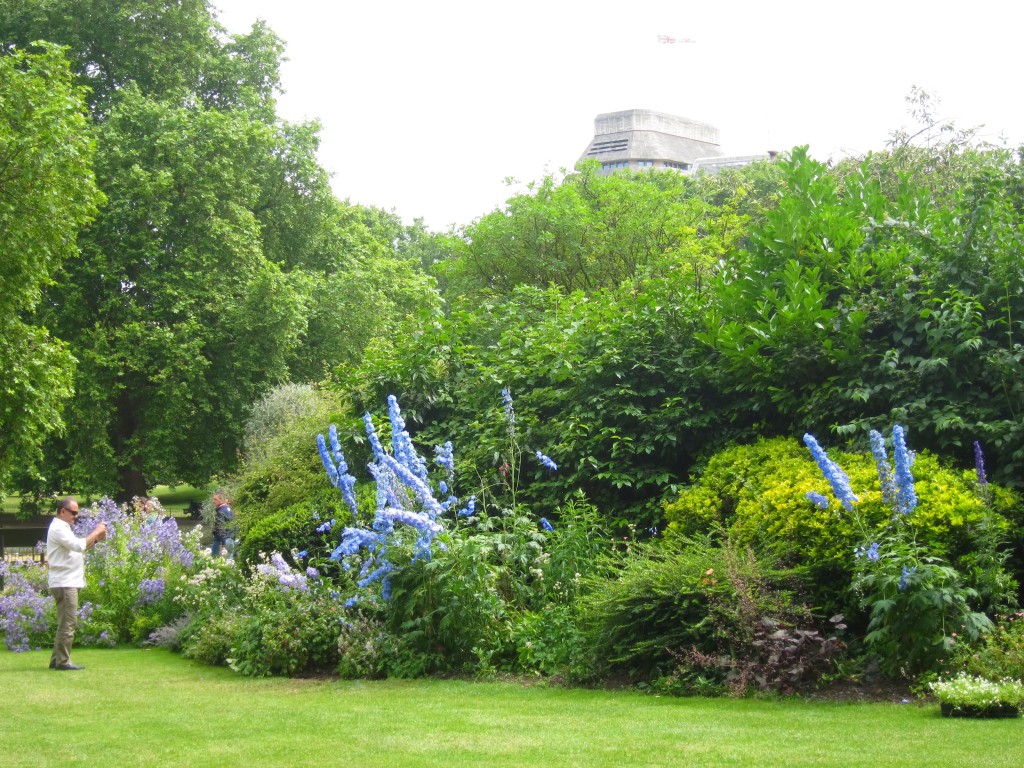 the larger-than-life flora in st. james's park in london