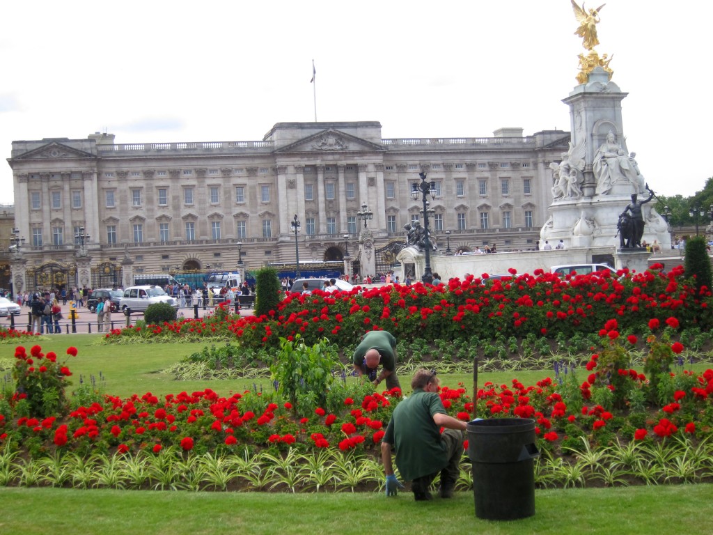 buckingham palace and gardens