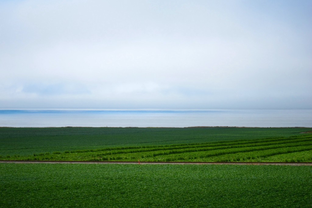 central california: farm to rail to sea.